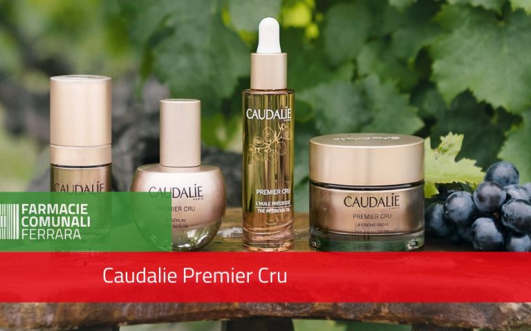 120589032_657003321917249_6574542995445164113_o